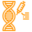 Medical Genetics