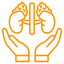 Nephrology