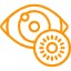 Ophthalmology